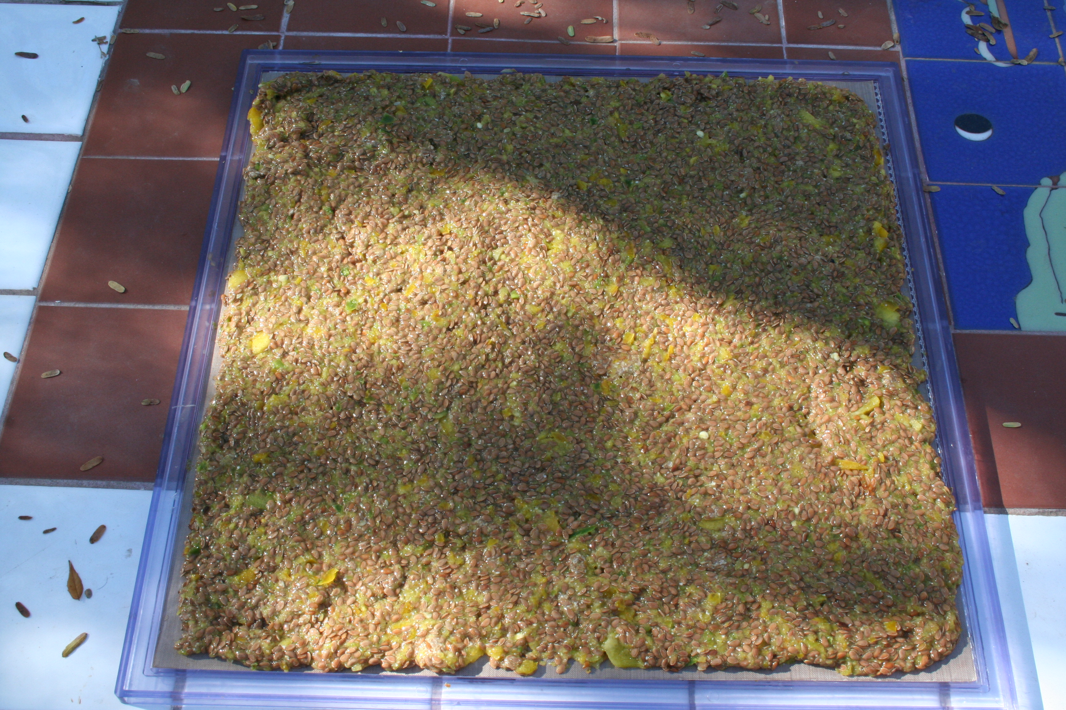 Spicy Flax Crackers on a dehydrator sheet.