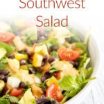 Vegan Southwest Salad photo with text.