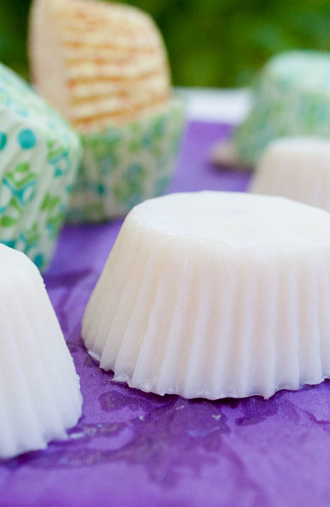 Coconut Fat Bombs close up.