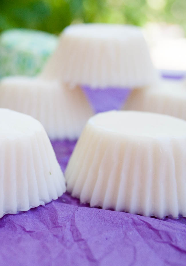 Coconut Fat Bombs close up.