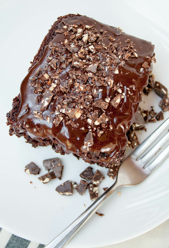 Chocolate Cake birds eye with fork.