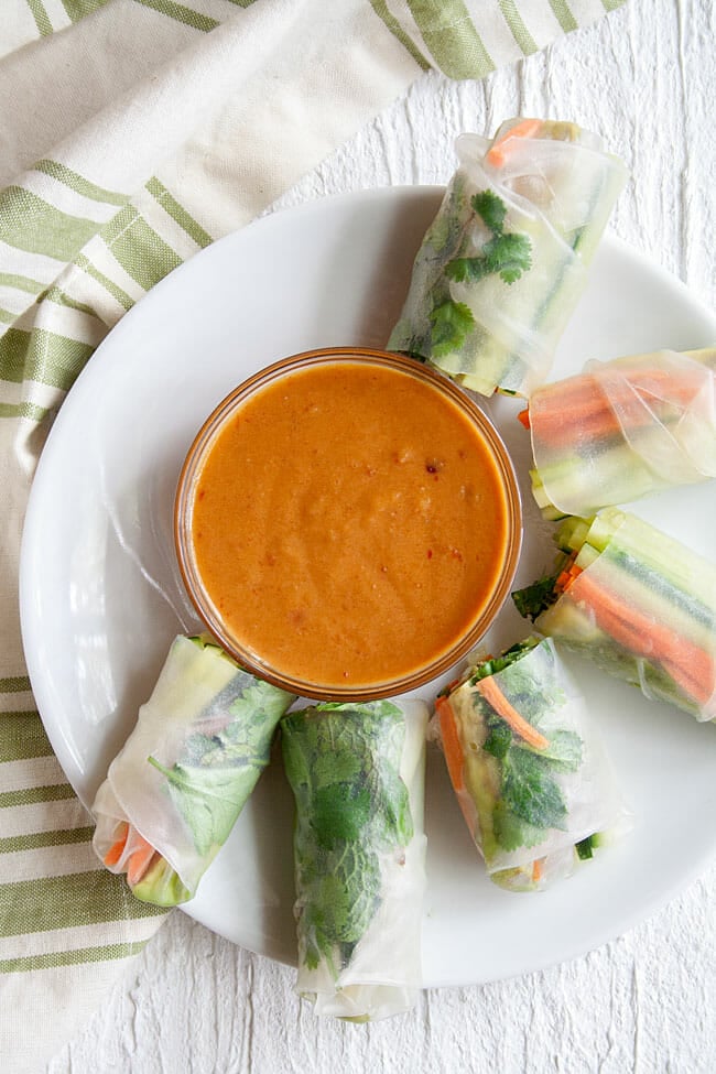 Peanut Sauce on a plate with vegetable spring rolls.