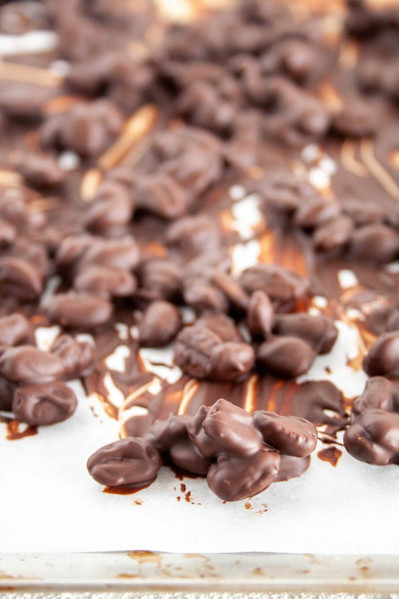 Homemade Vegan Chocolate Covered Coffee Beans Create Mindfully