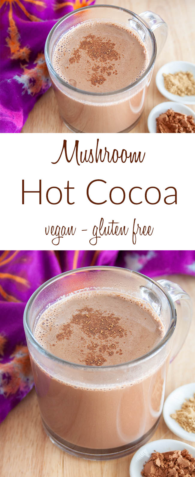 Mushroom Hot Cocoa collage photo with text.