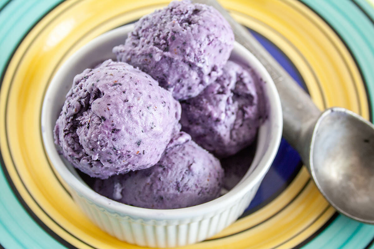 Blueberry Ice Cream