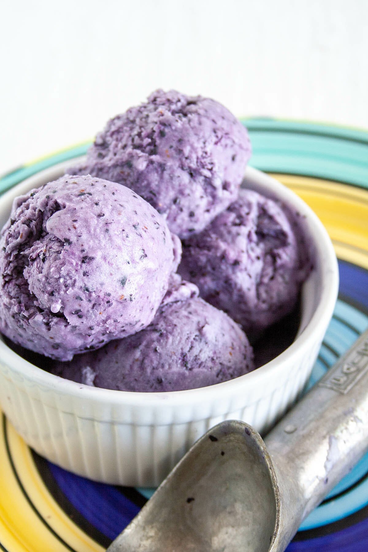Blueberry Ice Cream close up.