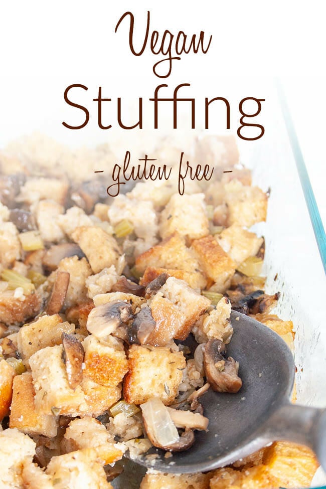 Vegan Stuffing photo with text.