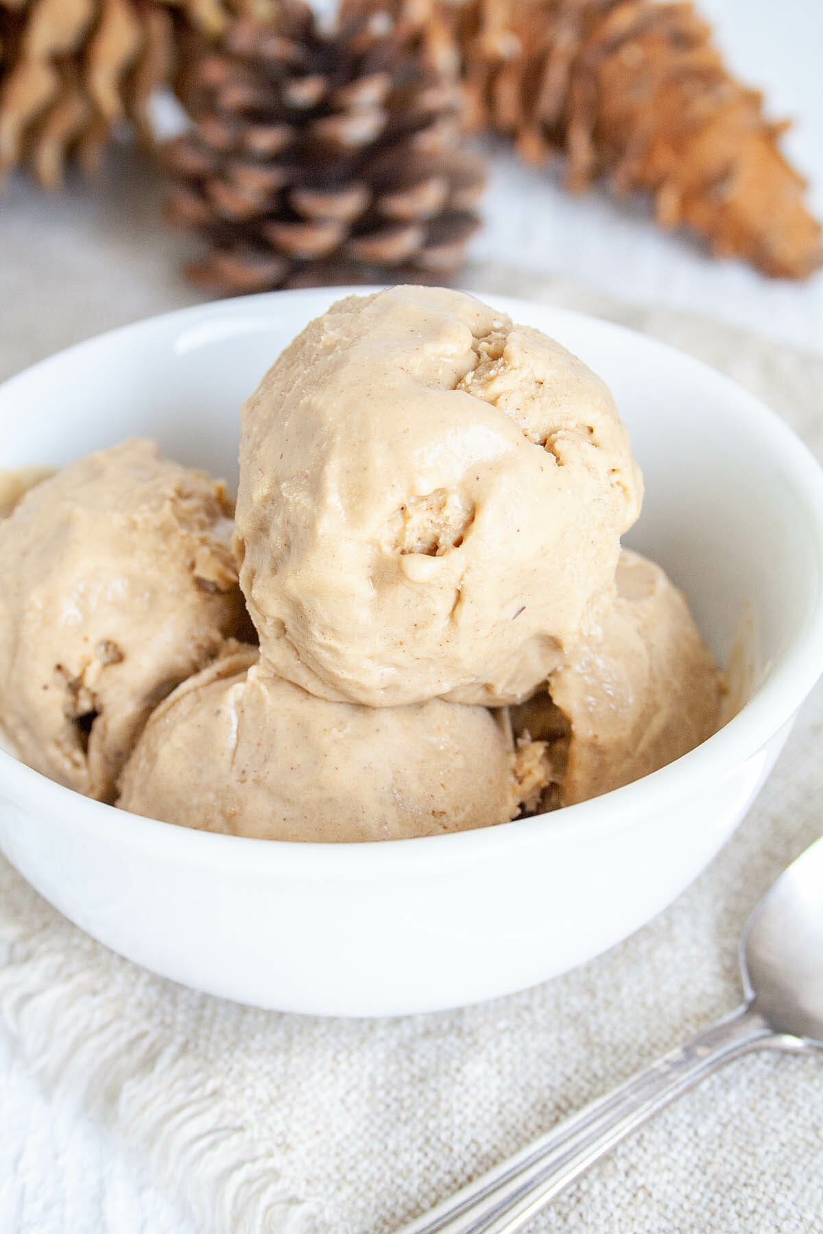 Gingerbread Ice Cream in bowl with spoon.