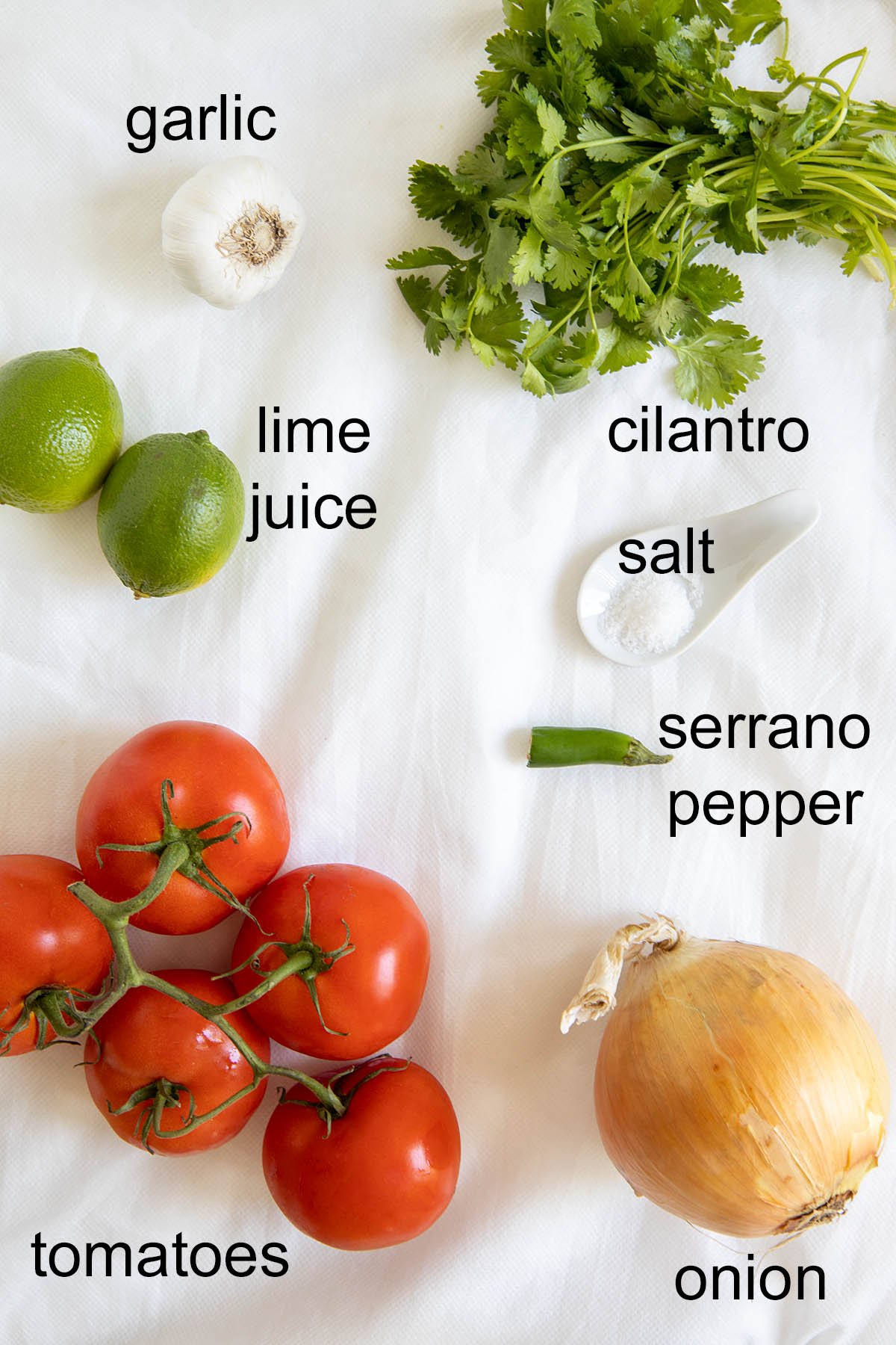 Ingredients for salsa with labels.