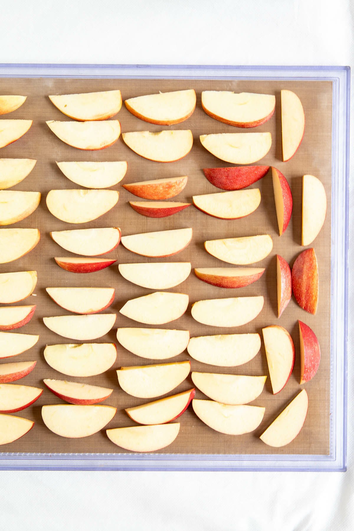 Apple slices on a Teflon lined dehydrator sheet.