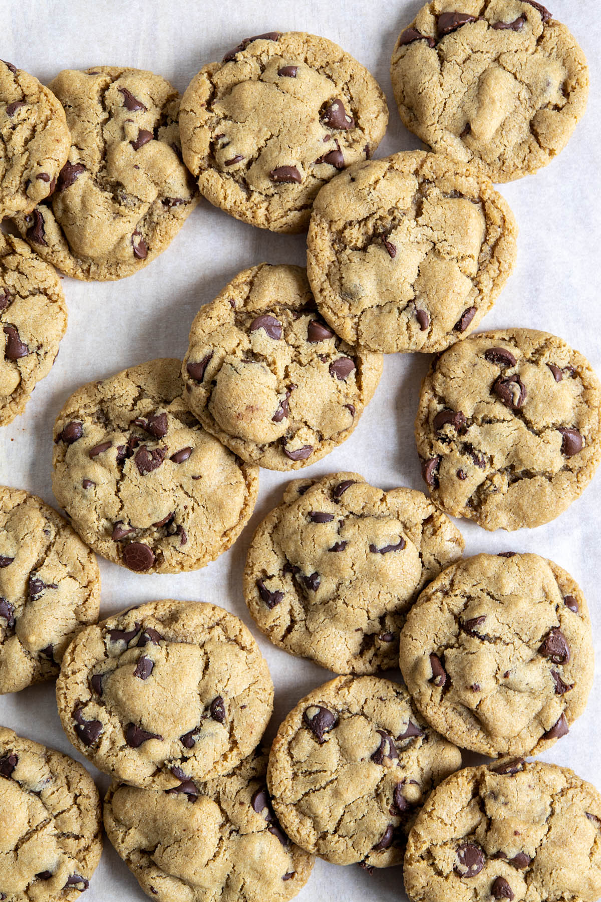 Chocolate Chip Cookies on parchment paper.
