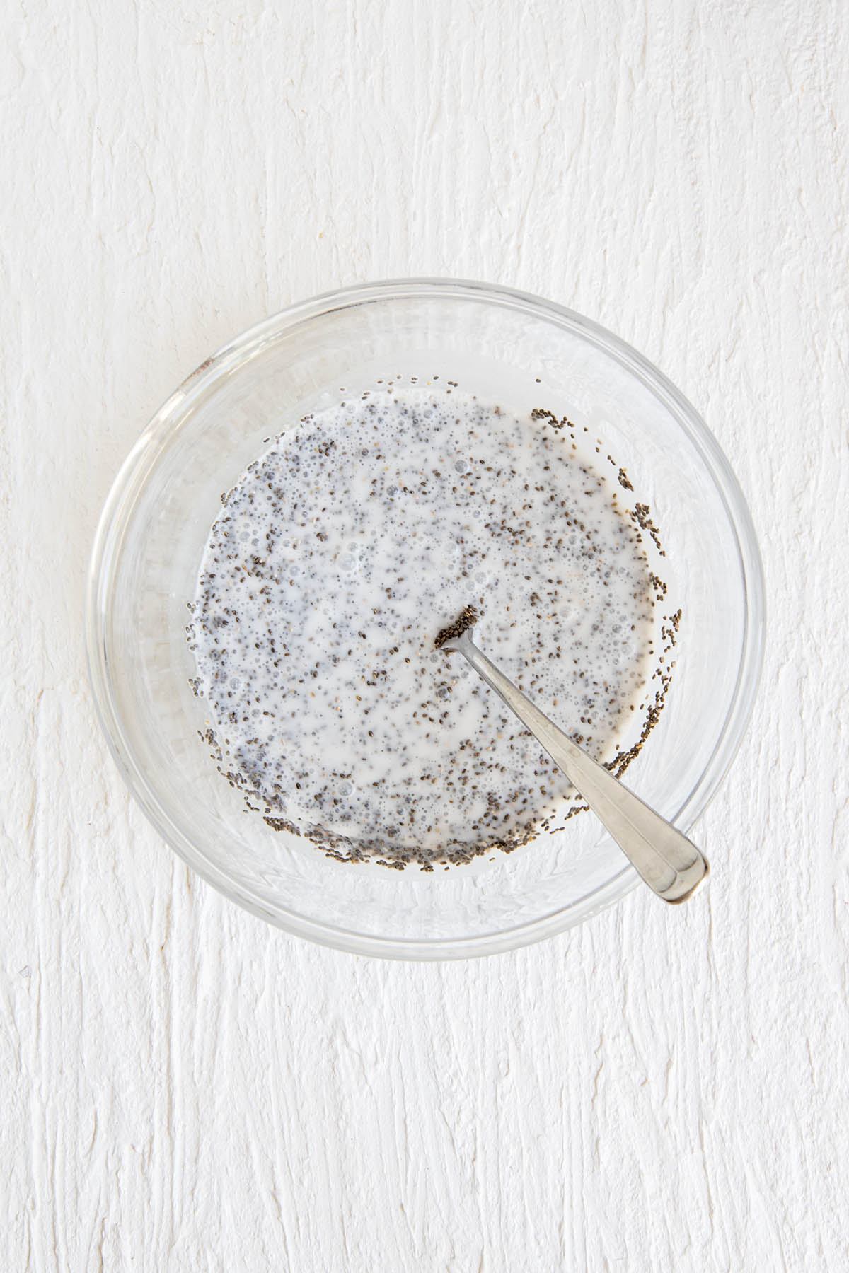 Chia seeds and coconut milk in a bowl after mixing.