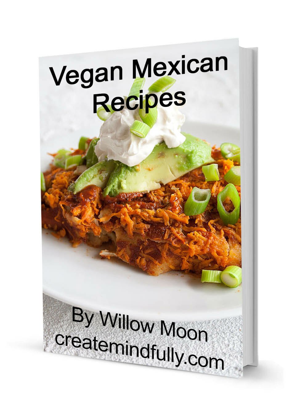 Vegan Mexican Recipes ebook cover with text.