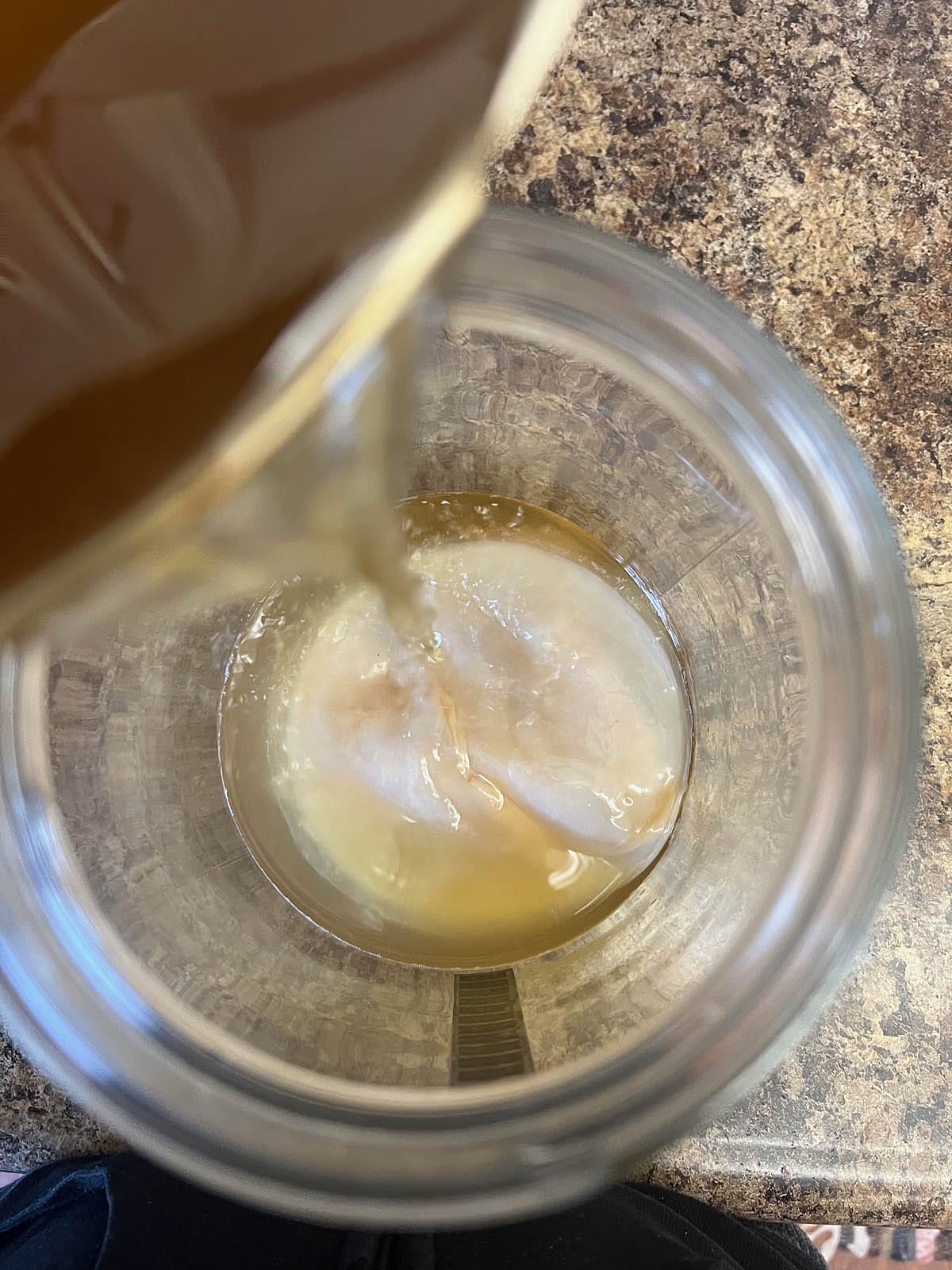 Sweetened tea being poured into a gallon sized jar with a kombucha scoby and kombucha in it.