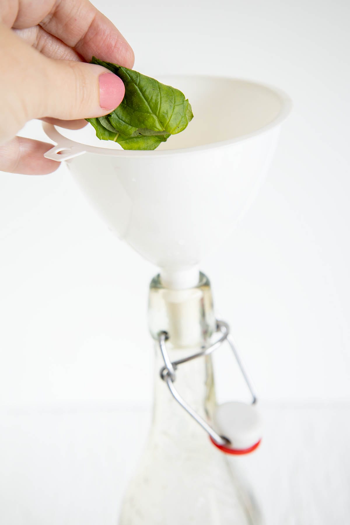 Mint being put into a funnel into a bottle.