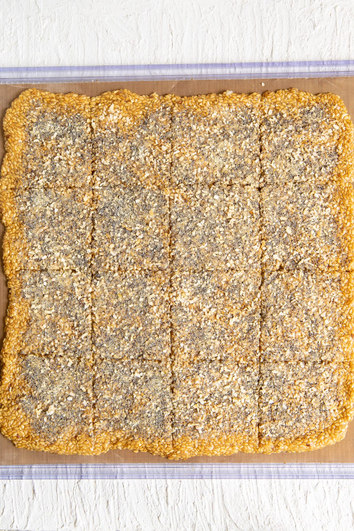 Flax mixture with everything bagel seasoning spread out on a Teflon lined dehydrator sheet.