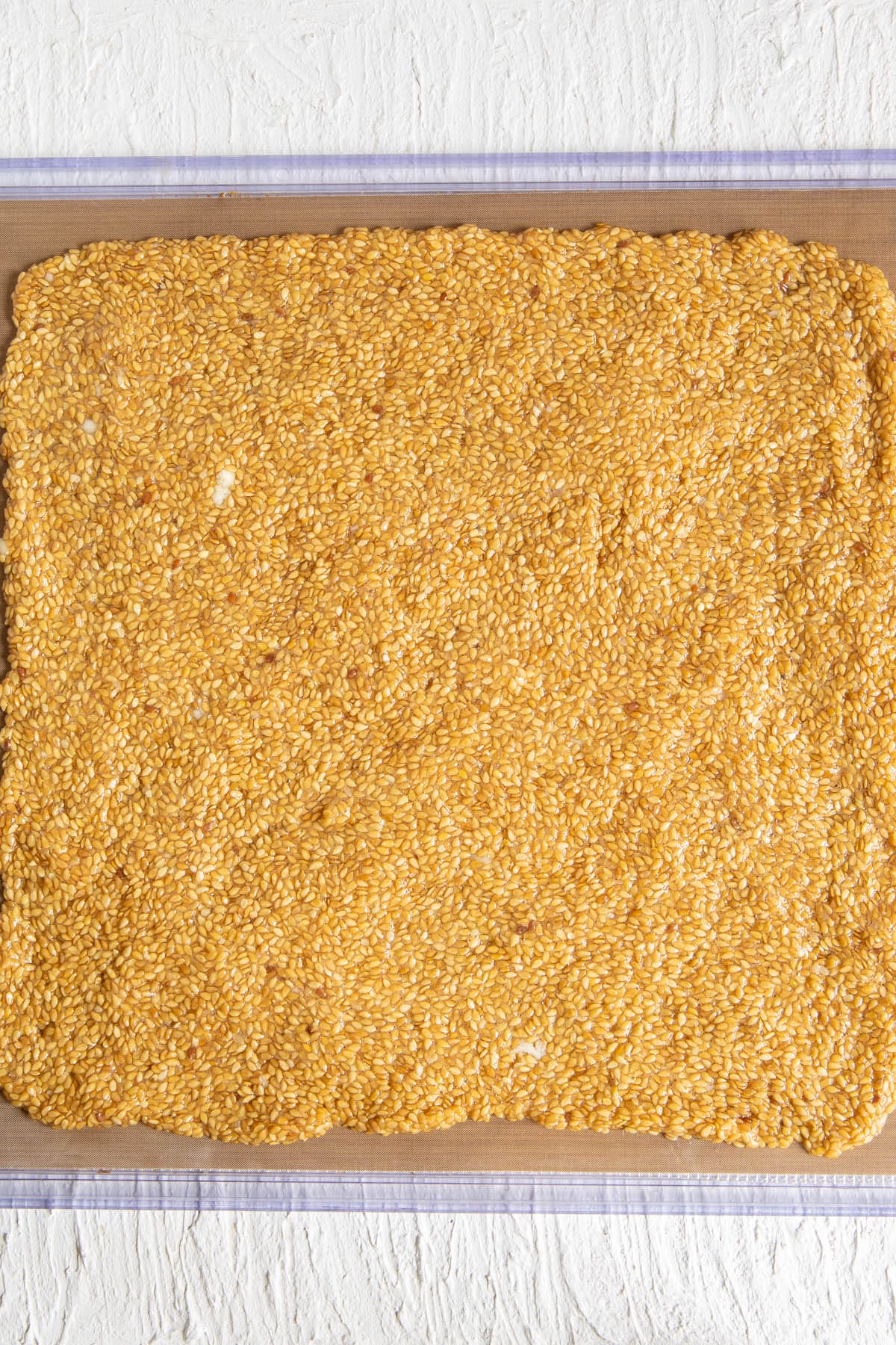 Flax mixture spread out on a Teflon lined dehydrator sheet.