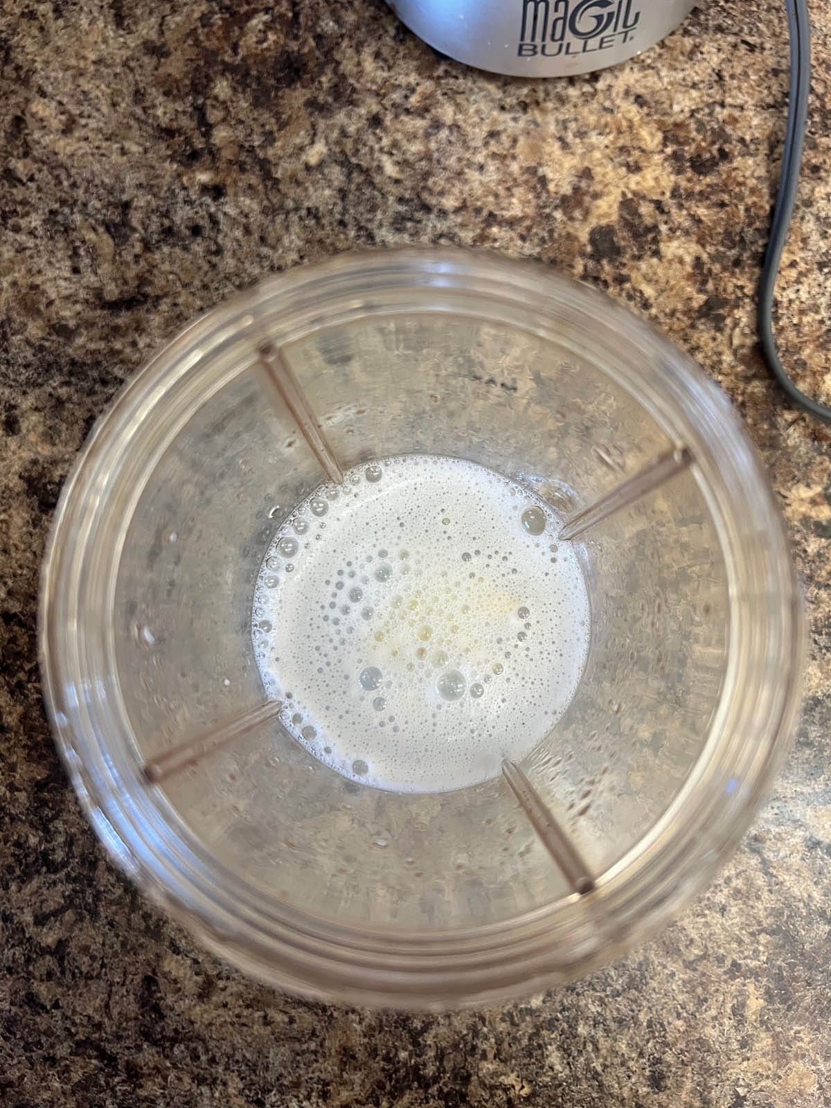 Garlic blended in water in a Nutribullet.