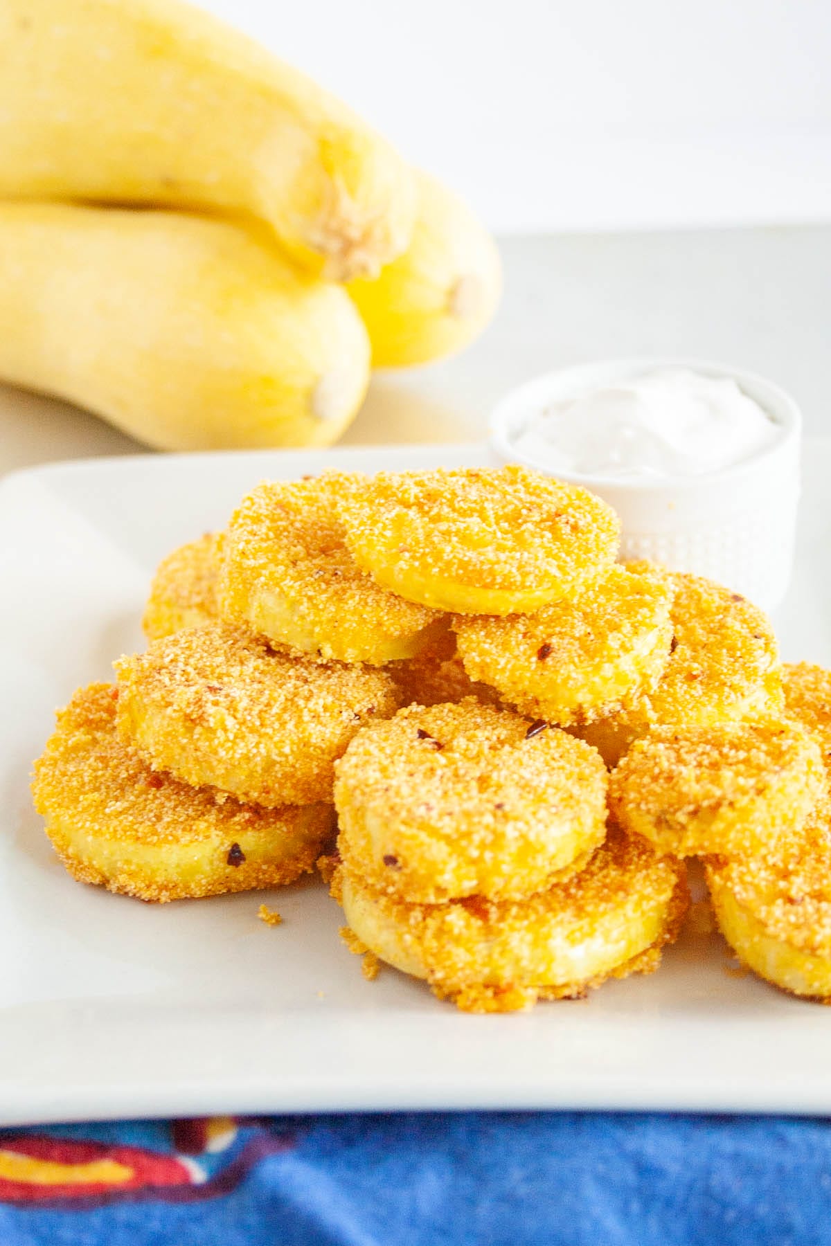 Fried Squash on a plate with yellow squash in the background.